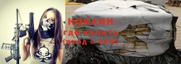индика Верея