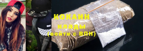 индика Верея