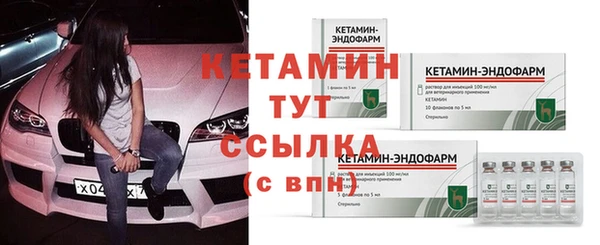индика Верея