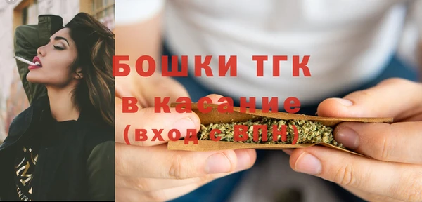 индика Верея