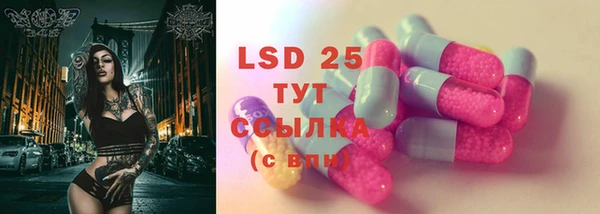 индика Верея
