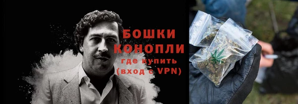 индика Верея