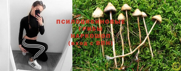 индика Верея