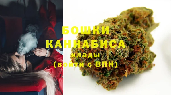 индика Верея