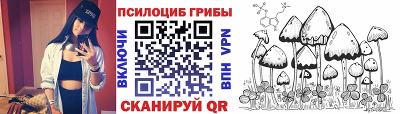 Галлюциногенные грибы Psilocybe гидра ССЫЛКА Новошахтинск купить